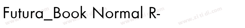 Futura_Book Normal R字体转换